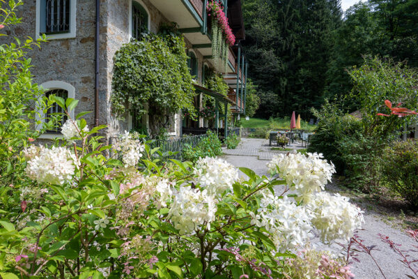 Hotel-Hammerschmiede-im-Wald-bei-Salzburg_Blumengarten_Z72_3792